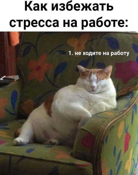   - 27  2025  14:24