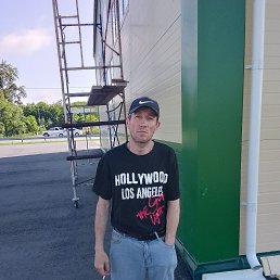 ���������, 41 ���, ���������