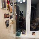 ���� ������, ���������� - ��������� 8 ������ 2024 � ������ ������ ��������