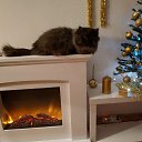  Alex, , 38  -  15  2025