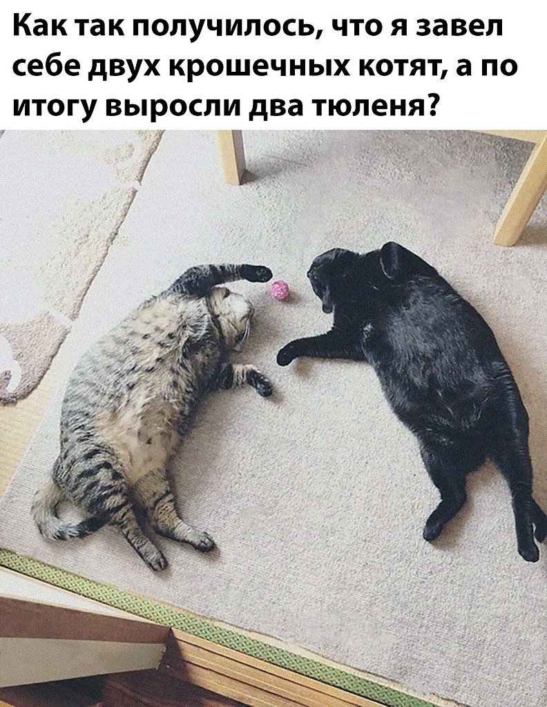    - 20  2025  20:39
