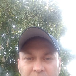 ���� �������, ����������, 38 ��� - ��������� 8 ������� 2024