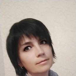 , 61, 
