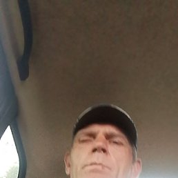, 44, 
