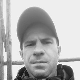 �����, 38 ���, ��������