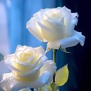 ���� ������ � ����, ������ - ��������� 19 ���� 2024 � ������ ������.�