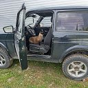 ���� �������, ������, 44 ���� - ��������� 17 ����� 2026