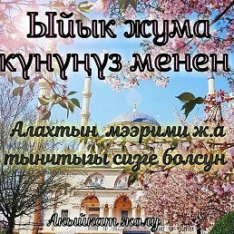 ���, ������, 44 ����