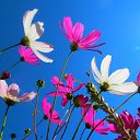 ���� Bel., �������, 54 ���� - ��������� 14 ������� 2024