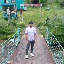 , 29, 