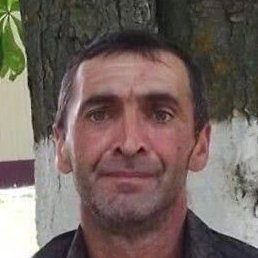 �����, ������, 46 ���