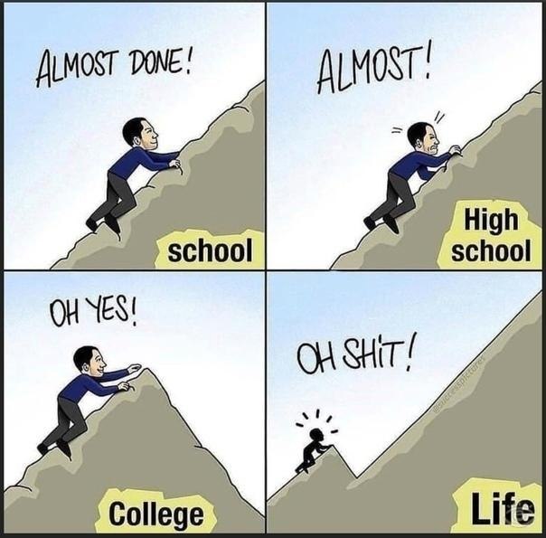 whole life like
