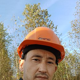 , 37, 