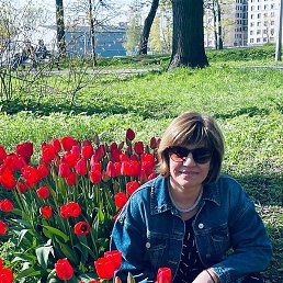 ������, �����-���������, 54 ����