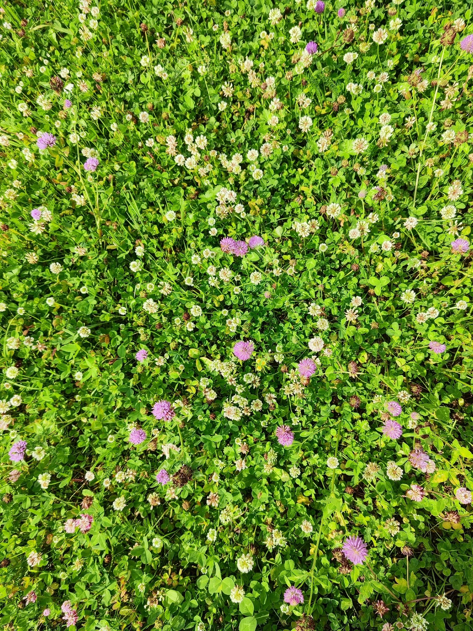   - 12  2025  16:15 - 9