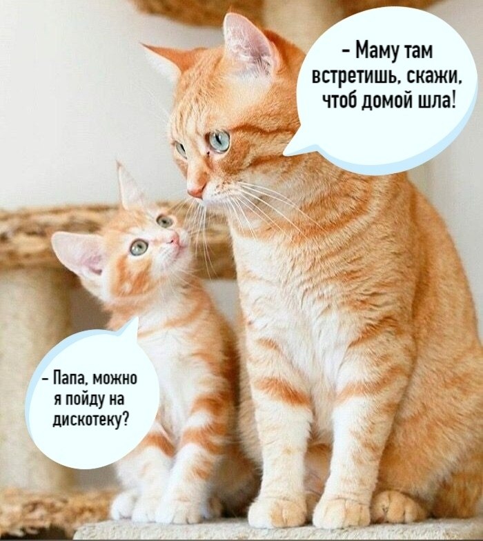 ��� ���� � ����� �� �� - 11 �������� 2025 � 22:12