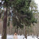 ���� �������, ���������, 55 ��� - ��������� 11 ���� 2024 � ������ ���� ����������