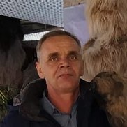 , 55 , 