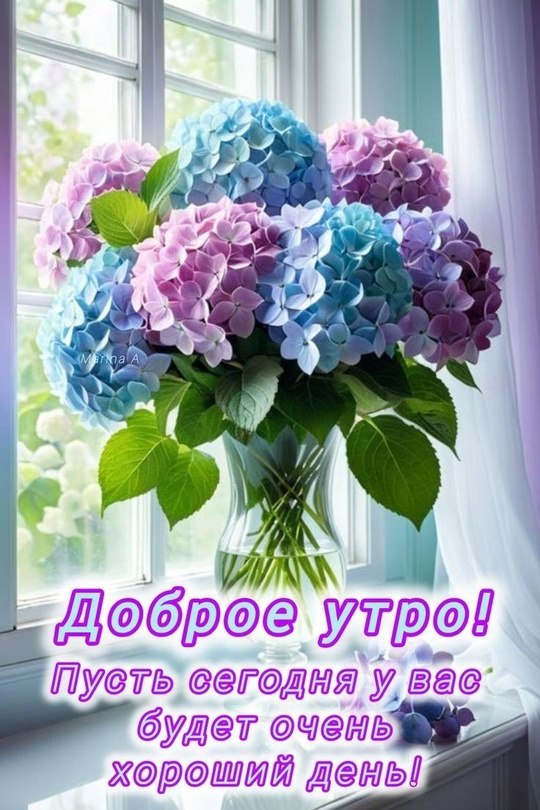   - 30  2024  08:00