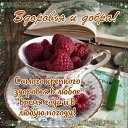���� �������, �������� - ��������� 1 ������� 2026 � ������ ������ ��������