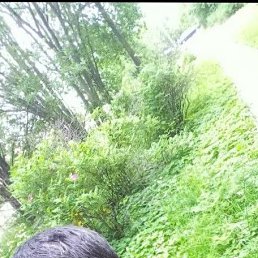 , 28, 
