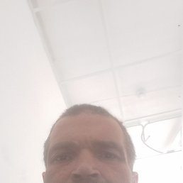 , , 43 