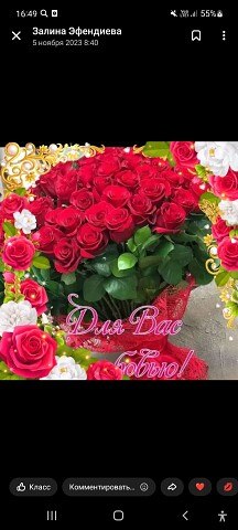 ���� ������, �������, 33 ���� - ��������� 13 ������� 2023