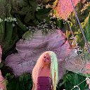 ���� ����, �������, 37 ��� - ��������� 10 ��� 2026 � ������ ���� ����������