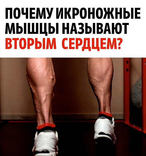 ������ ������� ����� ���� ���������