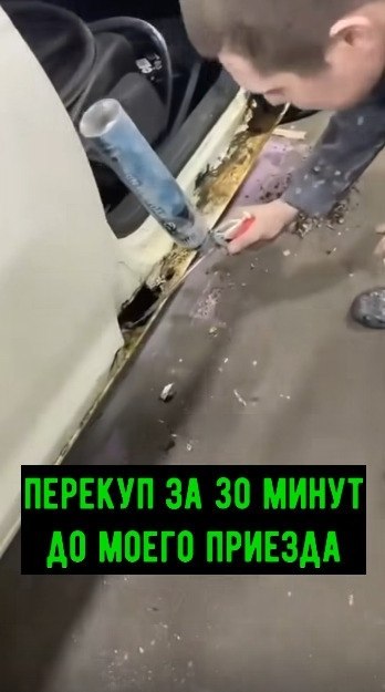 �������� - ��� ������ ���� �������������� ����!
