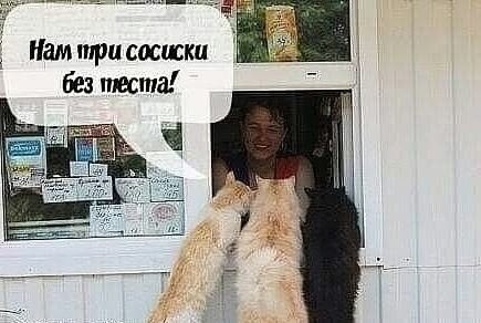  - 25  2025  10:08