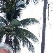 �������� �, 56 ���, �����-���������