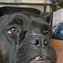 ���� ������, �����, 59 ��� - ��������� 16 ������ 2025 � ������ ������ ��������