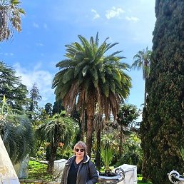 ����, ����������, 63 ����