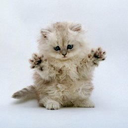 ������! �� ���� ������!!!, ����, 20 ���