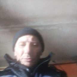 ������, 53 ����, �����������