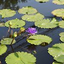 ���� ������, �����������, 56 ��� - ��������� 6 ������ 2024