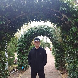 ��������, �����, 73 ����