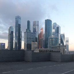 ���� Lion, ������, 38 ��� - ��������� 29 ������� 2023