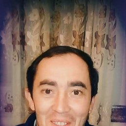 , 43, 