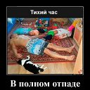 ���� ���������, �������, 53 ���� - ��������� 1 ������� 2026 � ������ ������ ��������