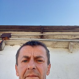 , 44 , --