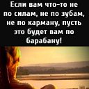 ���� �������, ������, 52 ���� - ��������� 21 ������ 2024 � ������ ���� ����������