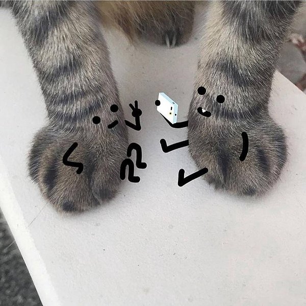   - 4