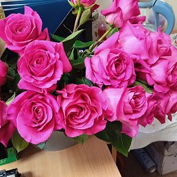 �����, ������ ��������