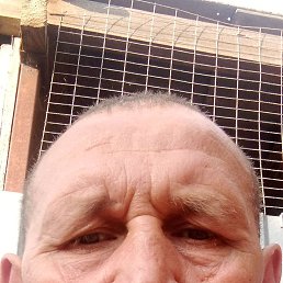 , 45, 
