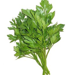 Zkrya, ������, 38 ���