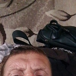 , 41, 