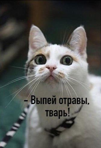 ��� ���� � ����� �� �� - 15 ������� 2025 � 17:03 - 2
