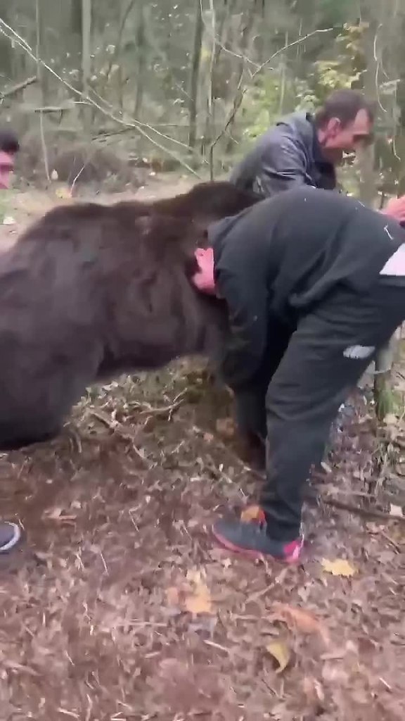       .. - 2